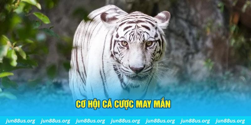 hi88 club casino TỶ LỆ BÓNG ĐÁ